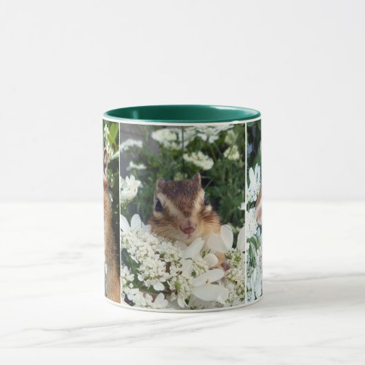 Chipmunk photo　(30-19) mok (Midden)