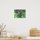 Chipmunk Photo In The Garden Eating Seeds  Poster (Keuken)
