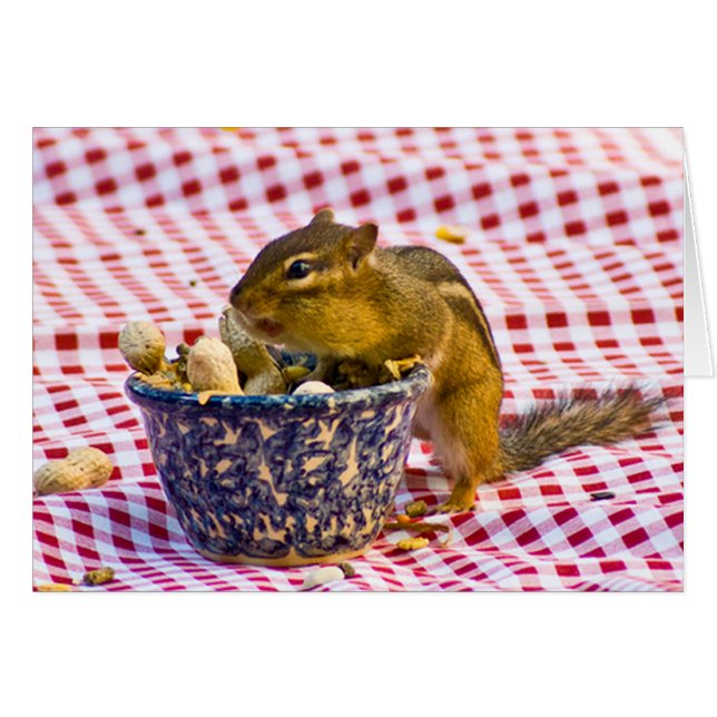 Chipmunk Picnic (Voorkant Horizontaal)