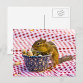 Chipmunk Picnic Briefkaart (Voorkant / Achterkant)