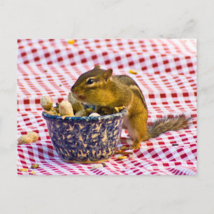 Chipmunk Picnic Briefkaart