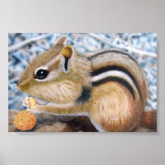 Chipmunk Poster (Voorkant)