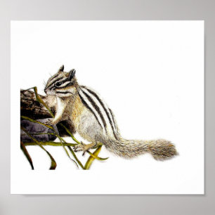 Chipmunk Poster