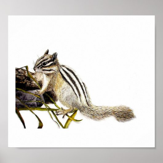 Chipmunk Poster (Voorkant)