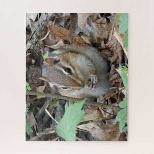 Chipmunk Puzzle Legpuzzel