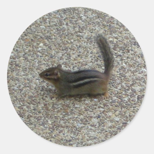 Chipmunk Ronde Sticker (Voorkant)