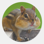 chipmunk ronde sticker (Voorkant)