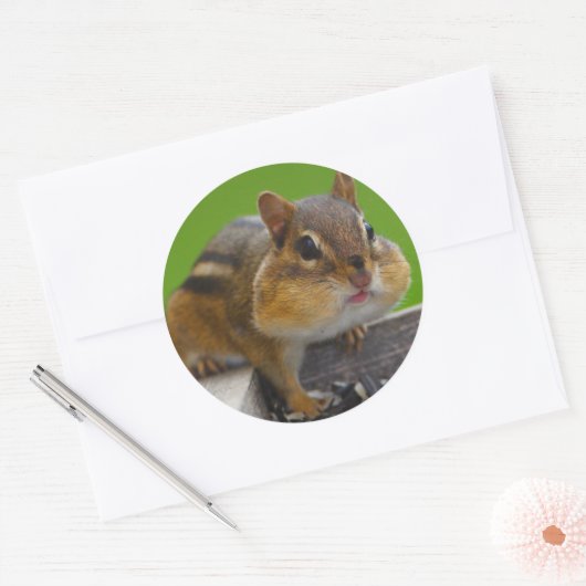 chipmunk ronde sticker (Envelop)