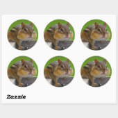 chipmunk ronde sticker (Vel)