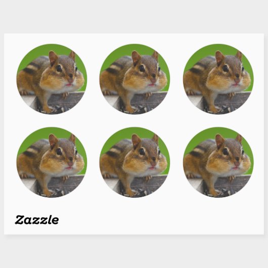 chipmunk ronde sticker (Vel)