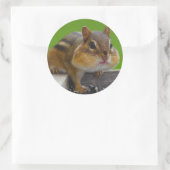 chipmunk ronde sticker (Tas)