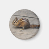 Chipmunk Round Magnet (Voorkant)