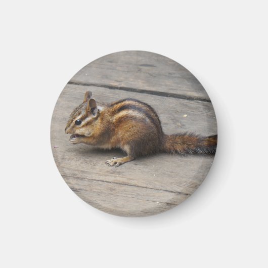 Chipmunk Round Magnet (Voorkant)