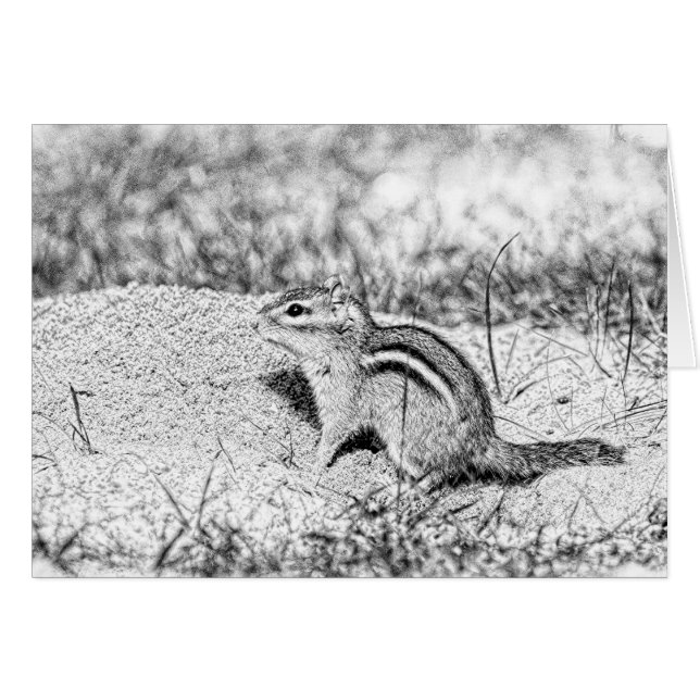 Chipmunk Sketch (Voorkant Horizontaal)