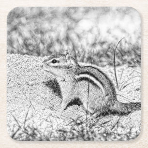 Chipmunk Sketch Kartonnen Onderzetters