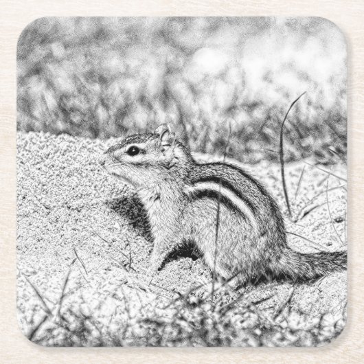 Chipmunk Sketch Kartonnen Onderzetters (Voorkant)