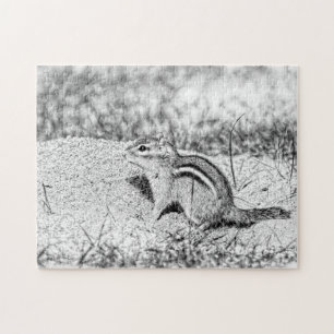 Chipmunk Sketch Legpuzzel