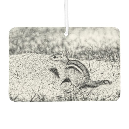 Chipmunk Sketch Luchtverfrisser (Voorkant)
