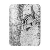 Chipmunk Sketch Magneet (Verticaal)