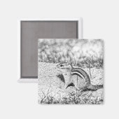 Chipmunk Sketch Magneet (Voorkant / Achterkant)