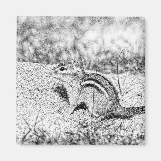 Chipmunk Sketch Magneet (Voorkant)