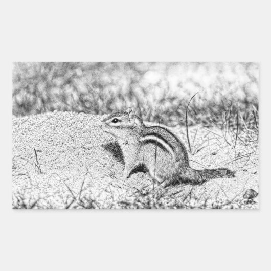 Chipmunk Sketch Rechthoekige Sticker (Voorkant)