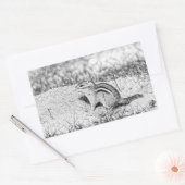 Chipmunk Sketch Rechthoekige Sticker (Envelop)