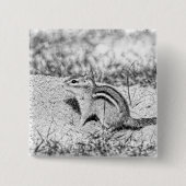 Chipmunk Sketch Vierkante Button 5,1 Cm (Voorkant)