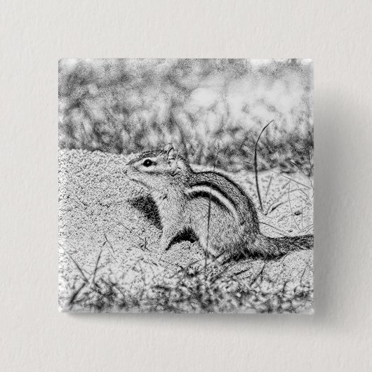 Chipmunk Sketch Vierkante Button 5,1 Cm (Voorkant)