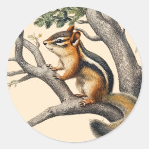  Chipmunk Sketch voor Natuur liefhebbers Ronde Sticker
