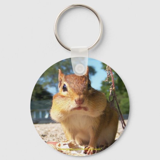 Chipmunk Sleutelhanger (Voorkant)