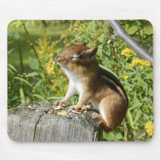 Chipmunk Soaking Up the Sun Mousepad Muismat