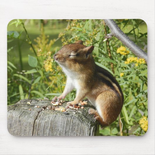 Chipmunk Soaking Up the Sun Mousepad Muismat (Voorkant)