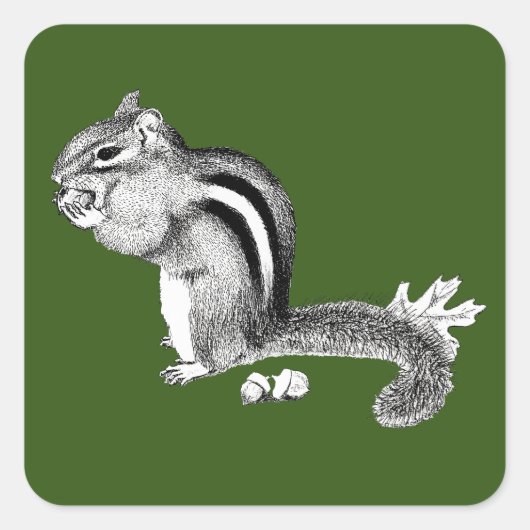 Chipmunk Square Sticker (Voorkant)