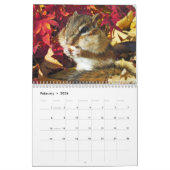 chipmunk,Squirrel,photo,calendar Kalender (Feb 2026)