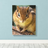 Chipmunk Stare Canvas Afdruk (Insitu (Houten vloer))
