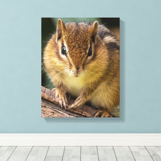 Chipmunk Stare Canvas Afdruk (Insitu (Houten vloer))