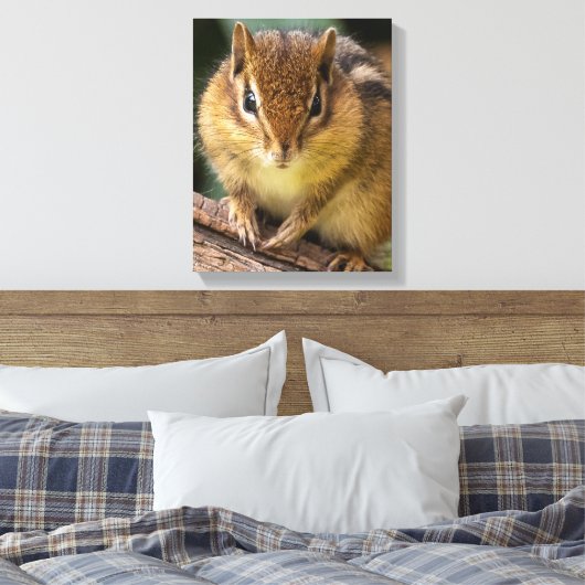 Chipmunk Stare Canvas Afdruk (Insitu (Slaapkamer))