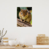 Chipmunk Stare Poster (Keuken)