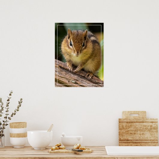 Chipmunk Stare Poster (Keuken)