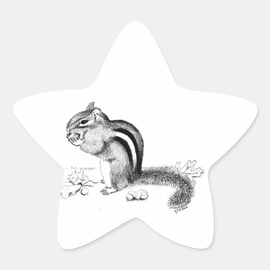 Chipmunk Ster Sticker (Voorkant)