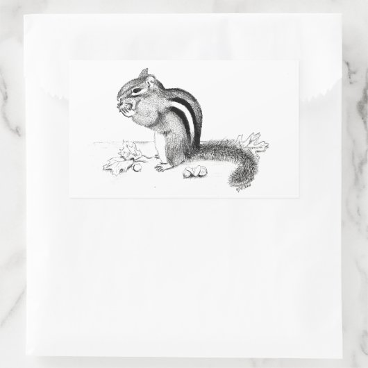 Chipmunk Sticker (Tas)