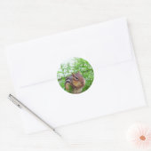 Chipmunk Sticker (Envelop)