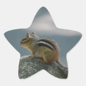 Chipmunk Stickers (Voorkant)