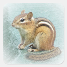Chipmunk Stripes Vierkante Sticker