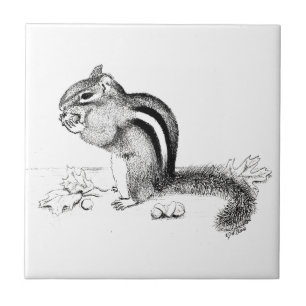 Chipmunk Tegeltje