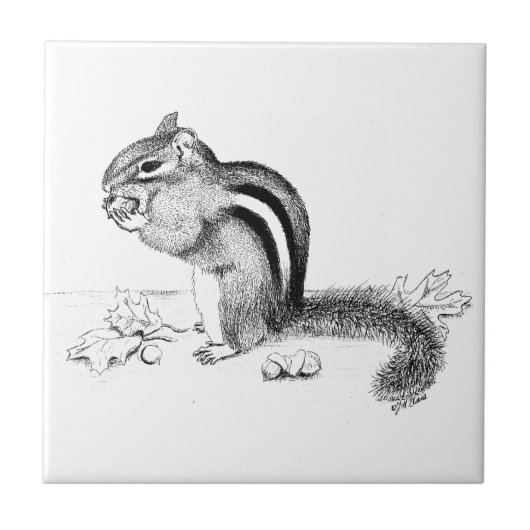 Chipmunk Tegeltje (Voorkant)