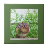 Chipmunk Tile Tegeltje (Voorkant)