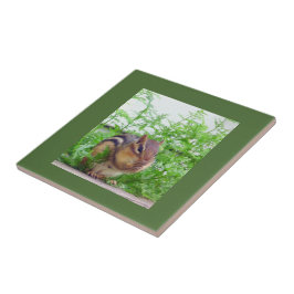 Chipmunk Tile Tegeltje
