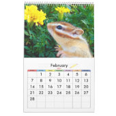 chipmunk (USA) Kalender (Feb 2027)